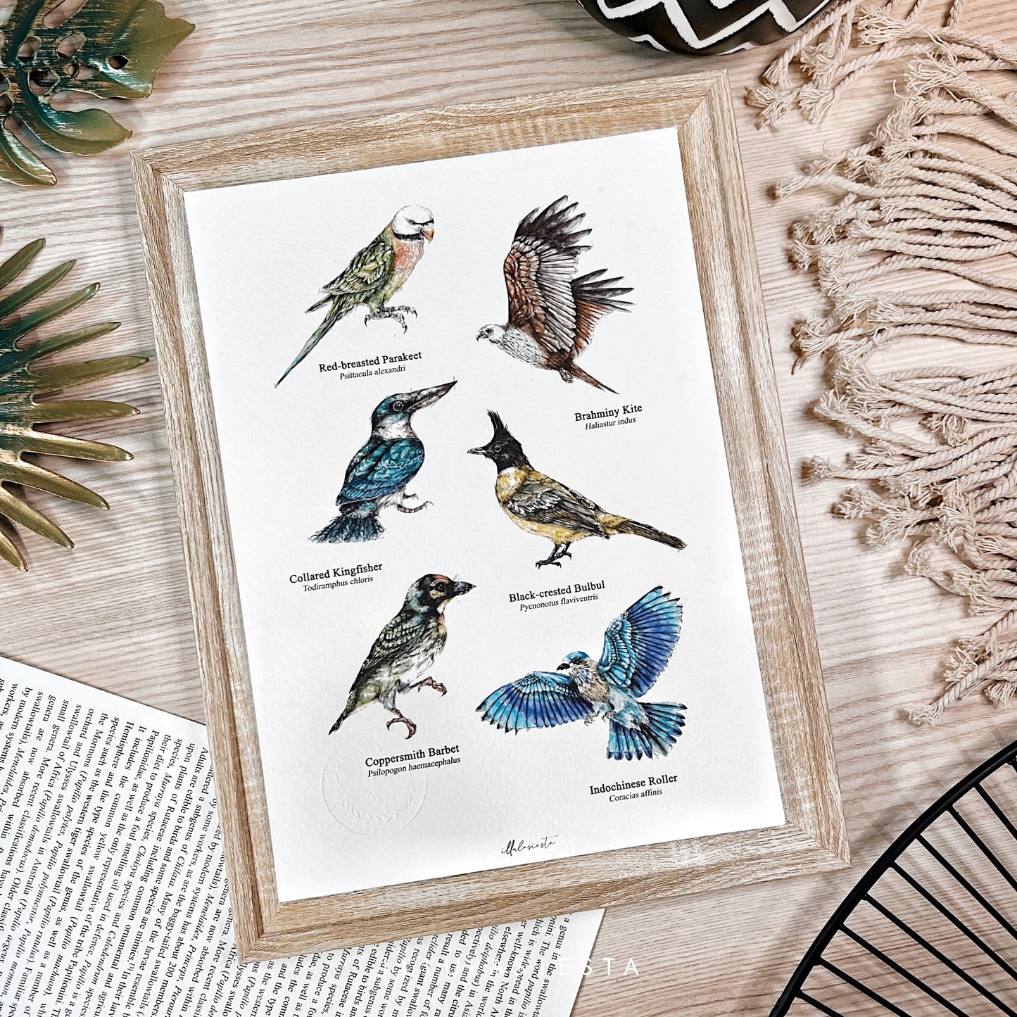 Wild Collective Print (A4)