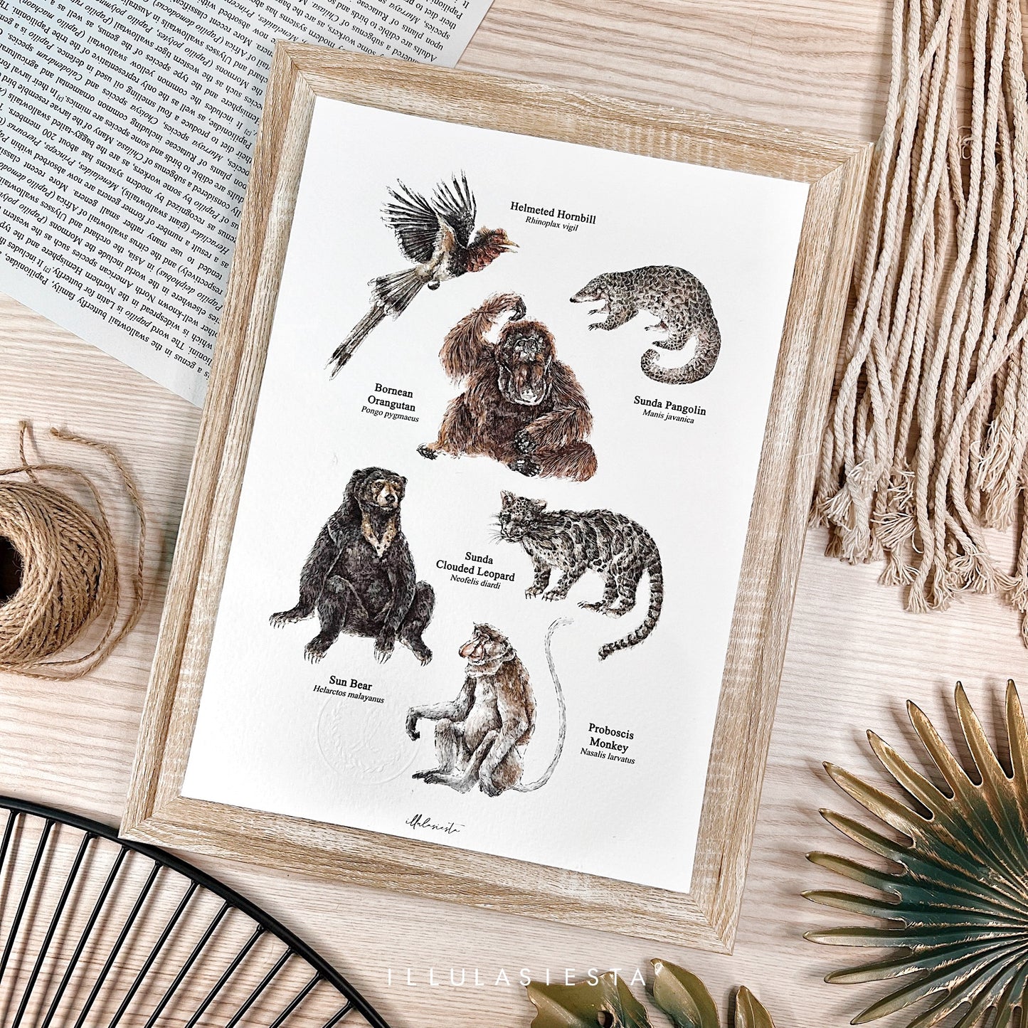 Wild Collective Print (A4)