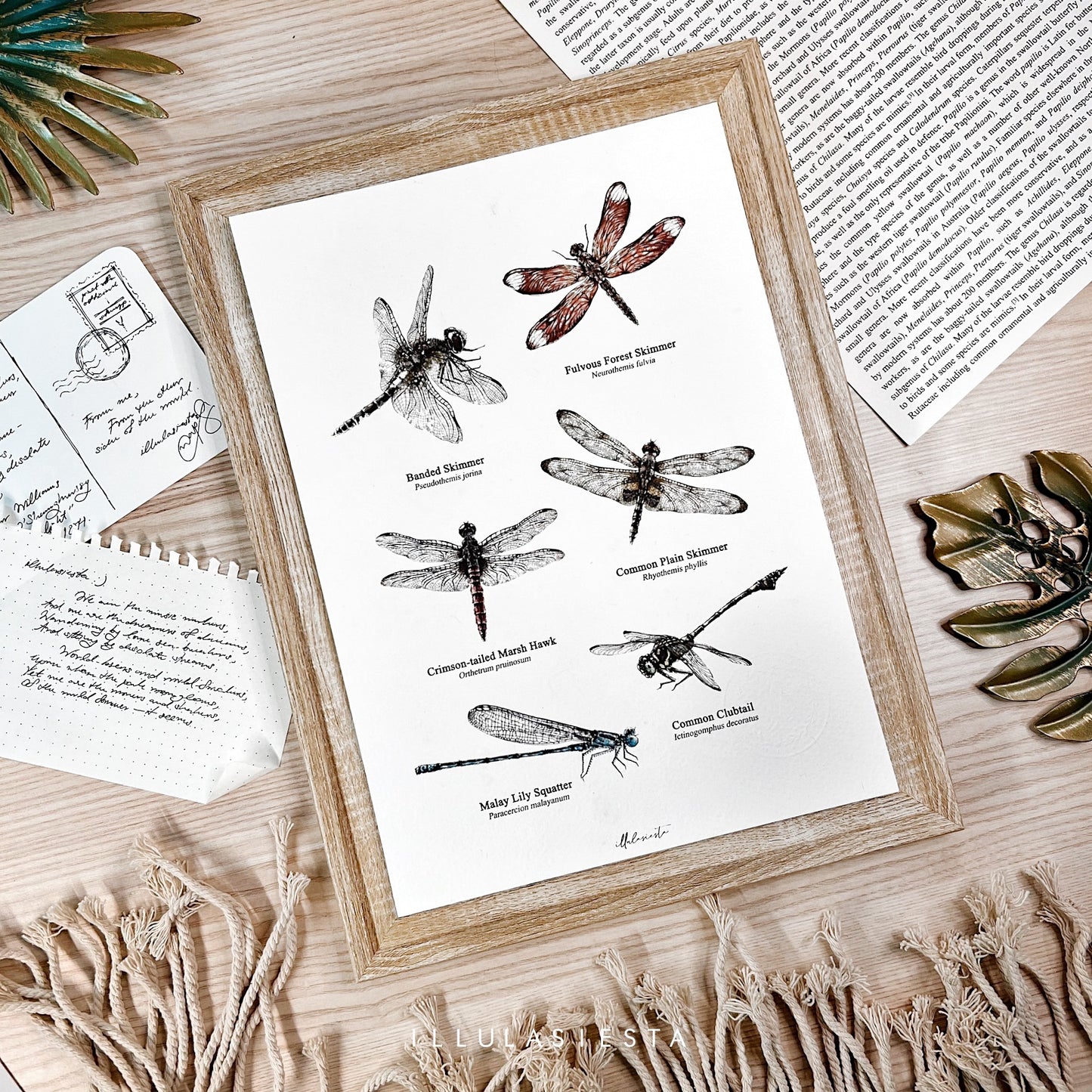 Wild Collective Print (A4)