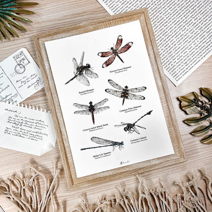 Wild Collective Print (A4)