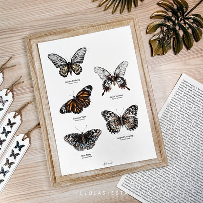 Wild Collective Print (A4)