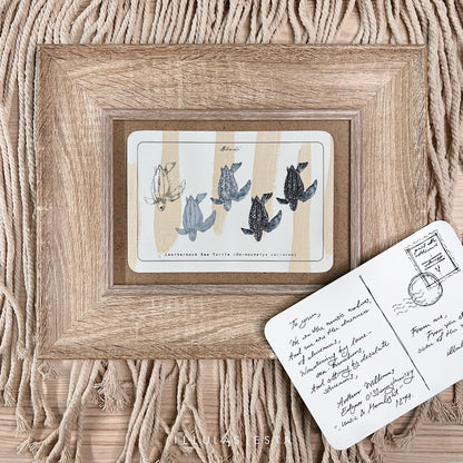 Marine Pastel Postcard